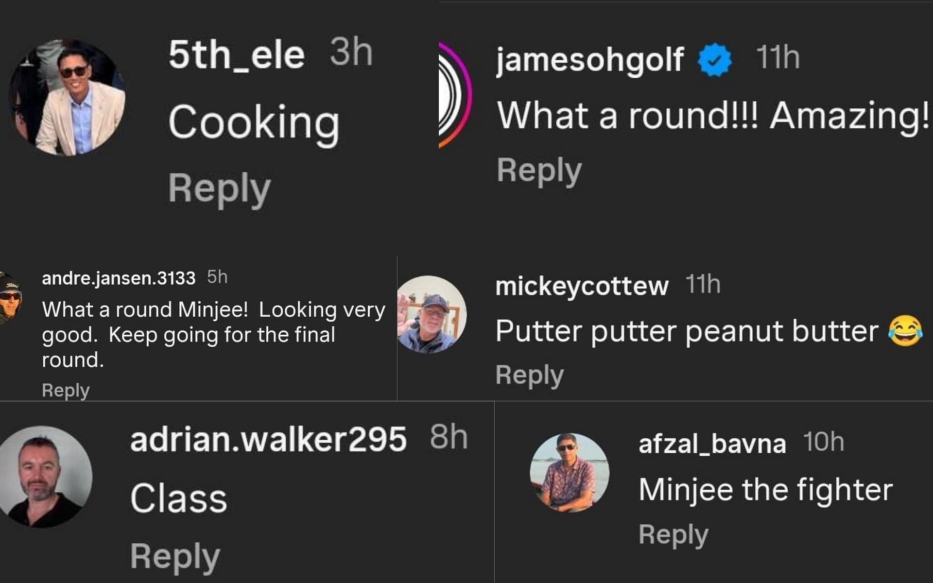 Fan comments on Minjee Lee's performance ( via LPGA Tour's Instagram page)